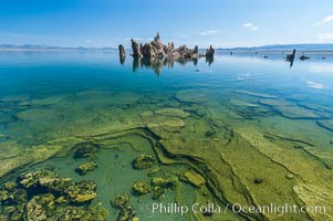 Tufa towers rise from Mono Lake.  Tufa towers are formed when underwater springs rich in calcium mix with lakewater rich in carbonates, forming calcium carbonate (limestone) structures below the surface of the lake.  The towers were eventually revealed when the water level in the lake was lowered starting in 1941.  South tufa grove, Navy Beach