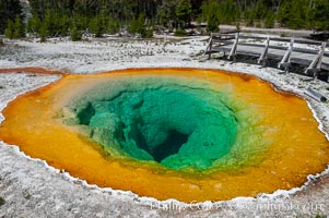 Morning Glory Pool has long been considered a must-see site in Yellowstone. At one time a road brought visitors to its brink. Over the years they threw coins, bottles and trash in the pool, reducing its flow and causing the red and orange bacteria to creep in from its edge, replacing the blue bacteria that thrive in the hotter water at the center of the pool. The pool is now accessed only by a foot path. Upper Geyser Basin, Yellowstone National Park, Wyoming