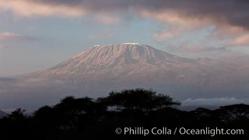 Mount Kilimanjaro, Tanzania, viewed from Amboseli NP, Kenya, Amboseli National Park