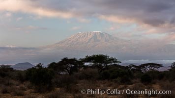 Mount Kilimanjaro, Tanzania, viewed from Amboseli National Park, Kenya