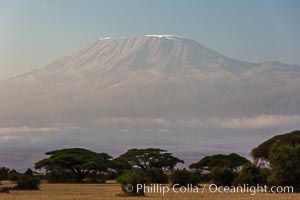 Mount Kilimanjaro, Tanzania, viewed from Amboseli NP, Kenya, Amboseli National Park