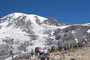 Hikers ascend the Skyline Trail below Nisqually Glacier and Mount Rainier, Mount Rainier National Park, Washington