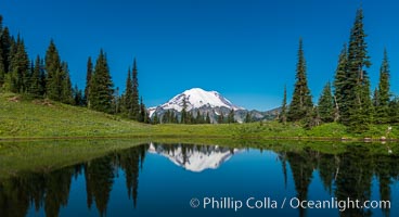 Mount Rainier reflected in Tipsoo Lake, Tipsoo Lakes, Mount Rainier National Park, Washington