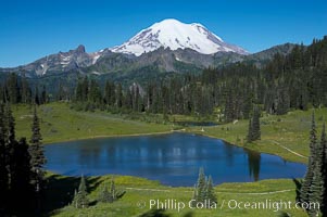 Mount Rainier rises above Lower Tipsoo Lake, Tipsoo Lakes, Mount Rainier National Park, Washington