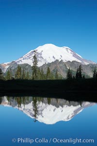 Mount Rainier is reflected in Upper Tipsoo Lake, Tipsoo Lakes, Mount Rainier National Park, Washington
