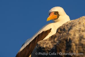 Photos of the Galapagos Islands, Ecuador