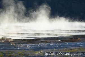 New Blue Spring steams in the cold morning air.  Mammoth Hot Springs, Yellowstone National Park, Wyoming