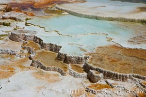 New Blue Spring and its travertine terraces, part of the Mammoth Hot Springs complex, Yellowstone National Park, Wyoming