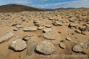 Interesting rock formations on plateau atop New Island