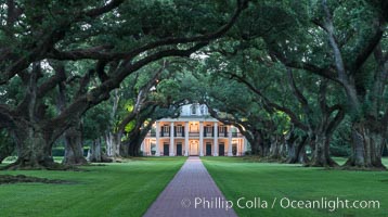 Oak Alley Plantation and its famous shaded tunnel of  300-year-old southern live oak trees (Quercus virginiana).  The plantation is now designated as a National Historic Landmark, Quercus virginiana, Vacherie, Louisiana