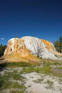 Orange Spring Mound.  Many years of mineral deposition has built up Orange Spring Mound, part of the Mammoth Hot Springs complex, Yellowstone National Park, Wyoming
