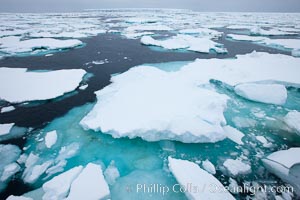 Pack ice, a combination of sea ice and pieces of icebergs, Weddell Sea