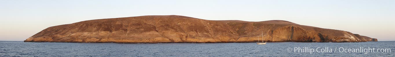 Panoramic photo of Santa Barbara Island, part of the Channel Islands National Marine Sanctuary.  Santa Barbara Island lies 38 miles offshore of the coast of California, near Los Angeles and San Pedro.  California sea lions inhabit the island in the thousands, and can be seen hauled out on the shore in this image