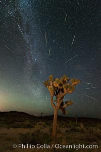 Perseid Meteor Shower over Joshua Tree National Park, Aug 13, 2014