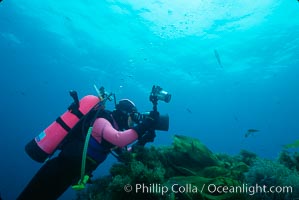 Photographer, Islas San Benito, San Benito Islands (Islas San Benito)