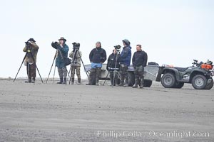 Photographers wait on the beach for brown bears clamming at low tide, Lake Clark National Park, Alaska