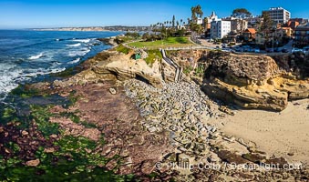 Aerial Photo of Point La Jolla and Scripps Park and Low King Tide, La Jolla Coastline