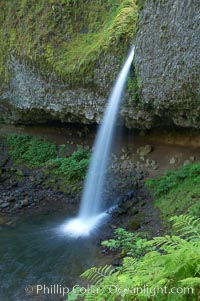 Ponytail Falls, where Horsetail Creeks drops 100 feet over an overhang below which hikers can walk, Columbia River Gorge National Scenic Area, Oregon