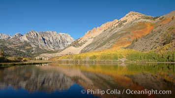 Aspen trees in fall, change in color to yellow, orange and red, reflected in the calm waters of North Lake, Paiute Peak rising to the right, Populus tremuloides, Bishop Creek Canyon, Sierra Nevada Mountains