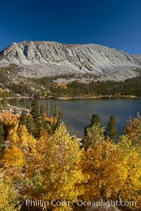 Mount Morgan and Rock Creek Lake with changing aspens, fall colors, autumn, Populus tremuloides, Rock Creek Canyon, Sierra Nevada Mountains