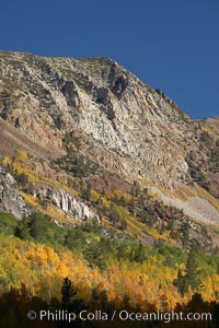 The Hunchback, a peak rising above the South Fork of Bishop Creek Canyon, with yellow and orange aspen trees changing to their fall colors, Populus tremuloides, Bishop Creek Canyon, Sierra Nevada Mountains