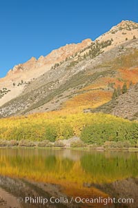 Paiute Peak, covered with changing aspen trees in autumn, rises above the calm reflecting waters of North Lake, Populus tremuloides, Bishop Creek Canyon, Sierra Nevada Mountains