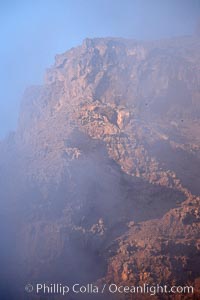 Red volcanic cliffs and fog, sunrise, Guadalupe Island, Guadalupe Island (Isla Guadalupe)