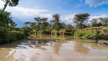 River, trees and sky, Maasai Mara, Kenya, Olare Orok Conservancy