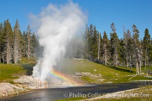 A rainbow appears in the spray of Riverside Geyser as it erupts over the Firehole River.  Riverside is a very predictable geyser.  Its eruptions last 30 minutes, reach heights of 75 feet and are usually spaced about 6 hours apart.  Upper Geyser Basin, Yellowstone National Park, Wyoming