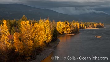 Fall colors along Little Shuswap Lake, near the Adams River, Roderick Haig-Brown Provincial Park, British Columbia, Canada
