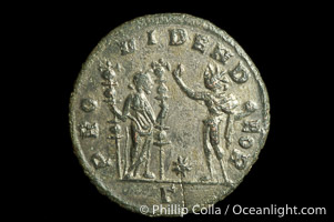 Roman emperor Florianus (276 A.D.), depicted on ancient Roman coin (bronze, denom/type: Antoninianus) (Antoninianus VF+; RIC 110 Serdica. Obverse: IMP CM AN FLORIANVS P AVG.. Reverse: PROVIDEN DEOR; gamma in exergue and star above.)