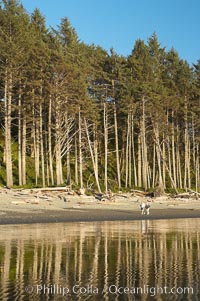 A couple walks along Ruby Beach at sunset, Olympic National Park, Washington