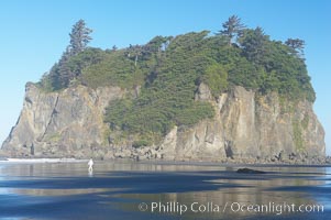 A visitor walks along Ruby Beach at low tide, dwarfed by its famous seastack, early morning, Olympic National Park, Washington