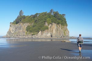 A visitor walks along Ruby Beach at low tide and admires its famous seastack, early morning, Olympic National Park, Washington