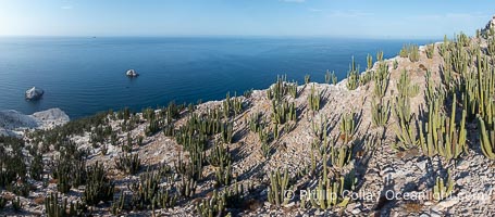 Rugged Terrain of Isla San Pedro Martir, Sea of Cortez. Aerial photo. The large bird population deposits enormous quantities of guano on the island, resulting in the white appearance of the island contrasted with sparse vegetation. In the late 19th and early 20th century guano was heavily mined off the island and shipped as far as Europe for use as fertilizer. San Pedro Martir is seldom visited, having near vertical sides leaving only questionable fair weather anchorages in two locations. Landing access was possible near a small isthmus in the southeast of the island, but is now forbidden. In 2005, the island was classified along with 244 others as a World Heritage Site by UNESCO, and included in the Islands and Protected Areas of the Gulf of California