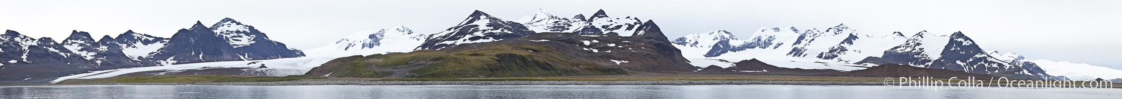 Salisbury Plain on South Georgia Island is home to an immense rookery of King Penguins.  It is a spectacular wildlife location, unequaled in all the world