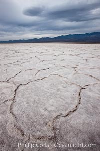Salt polygons.  After winter flooding, the salt on the Badwater Basin playa dries into geometric polygonal shapes, Death Valley National Park, California