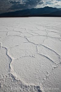 Salt polygons.  After winter flooding, the salt on the Badwater Basin playa dries into geometric polygonal shapes, Death Valley National Park, California