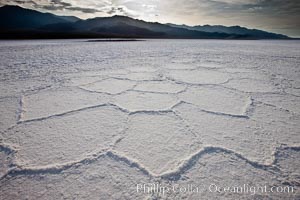 Salt polygons.  After winter flooding, the salt on the Badwater Basin playa dries into geometric polygonal shapes, Death Valley National Park, California