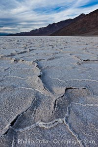 Salt polygons. After winter flooding, the salt on the Badwater Basin playa dries into geometric polygonal shapes, Death Valley National Park, California