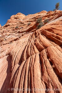 Sandstone formations.  Layers of sandstone are revealed by erosion in the Wire Pass narrows, Paria Canyon-Vermilion Cliffs Wilderness, Arizona