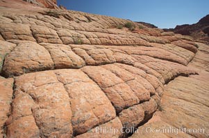Sandstone joints.  These cracks and joints are formed in the sandstone by water that seeps into spaces and is then frozen at night, expanding and cracking the sandstone into geometric forms, North Coyote Buttes, Paria Canyon-Vermilion Cliffs Wilderness, Arizona