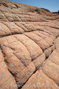 Sandstone joints.  These cracks and joints are formed in the sandstone by water that seeps into spaces and is then frozen at night, expanding and cracking the sandstone into geometric forms, North Coyote Buttes, Paria Canyon-Vermilion Cliffs Wilderness, Arizona