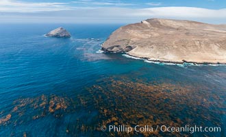 Santa Barbara Island, Sutil Island, and thick kelp forests, aerial photograph