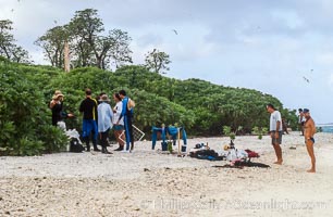 Scientists Setting up Camp on Rose Atoll, prior to starting survey operations, Rose Atoll National Wildlife Refuge