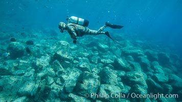 SCUBA Diver, Los Islotes, Sea of Cortez