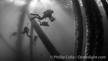 SCUBA Divers explore an oil platform, Long Beach, California