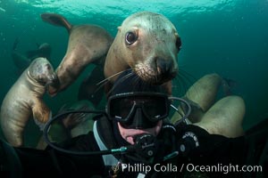 Selfie with Steller sea lion underwater, Norris Rocks, Hornby Island, British Columbia, Canada, Eumetopias jubatus