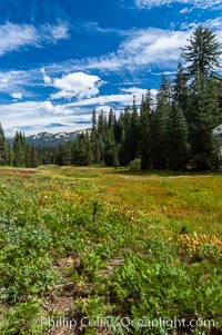 Long Meadow in late summer, Sequoia Kings Canyon National Park, California