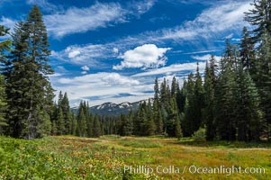 Long Meadow in late summer, Sequoia Kings Canyon National Park, California